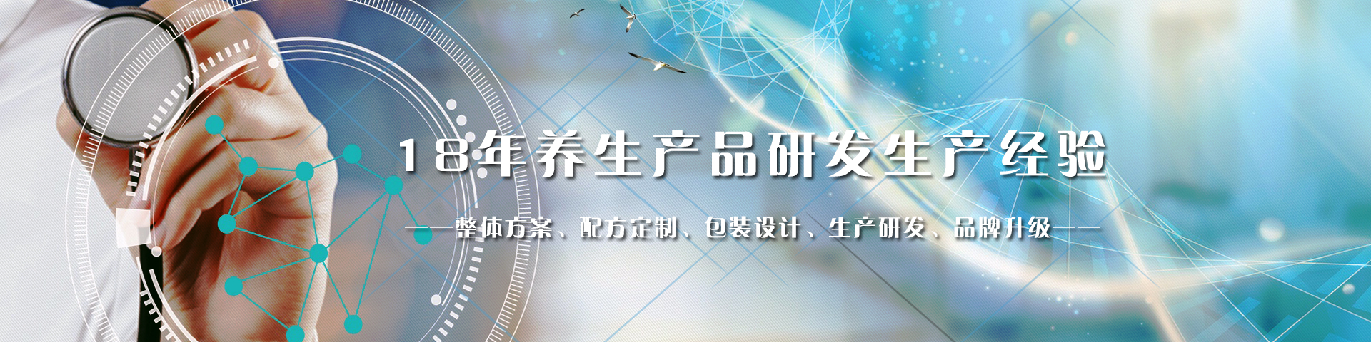 专家团队为您量身打造专业且引人注目的网站 (专家团队为您加持)