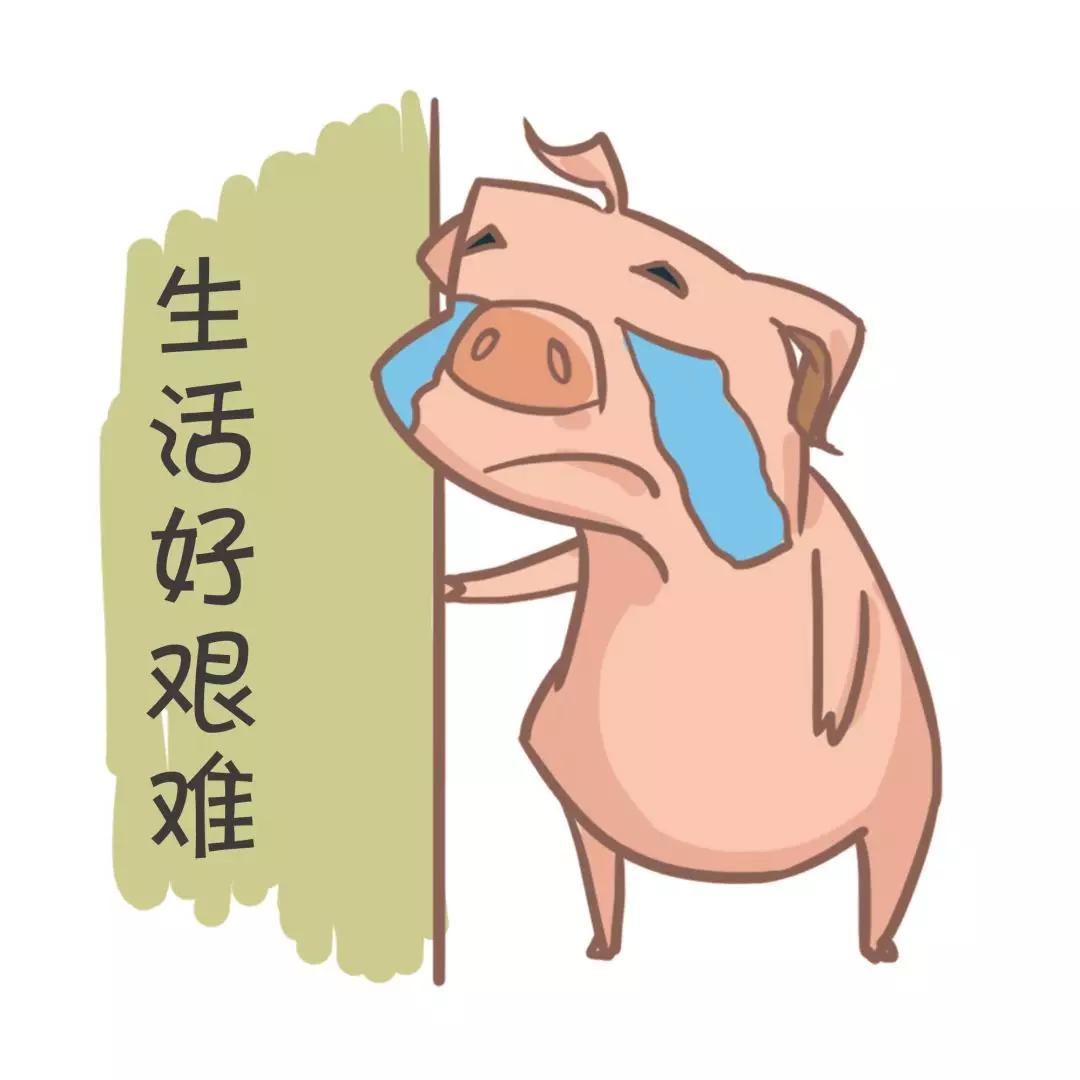 建立令人难忘的品牌形象：通过定制的品牌推广活动 (建立令人难忘的教育)