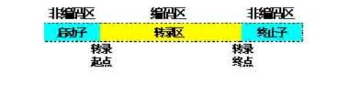 无需编码！自助建站申请：一步步创建强大在线形象 (无编码是什么意思)