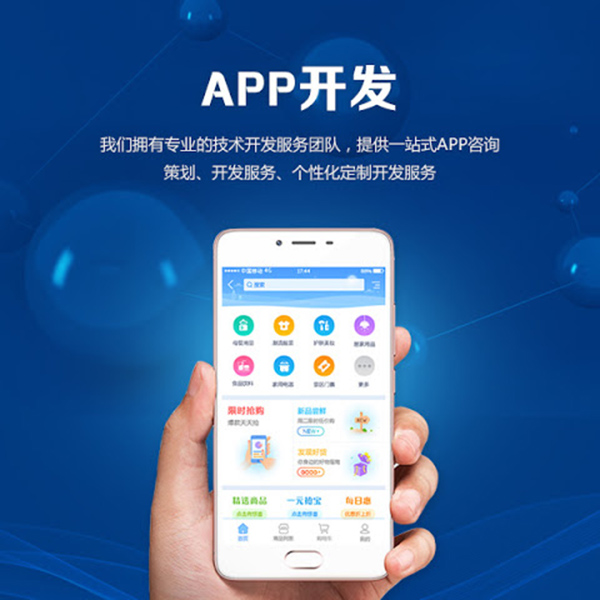 app开发综合价格列表：按功能和平台细分 (app 开发技术)
