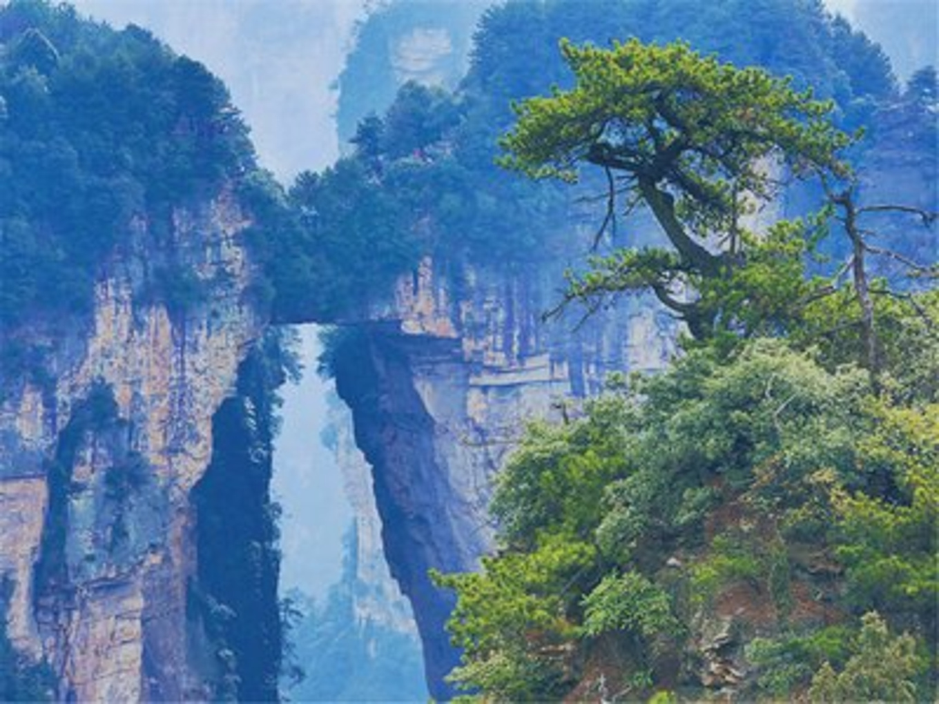 张家界SEO宝典