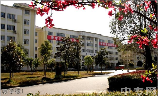 高级重庆 SEO 技术提升：从新手到专家的进阶策略 (高级重庆火锅图片大全)