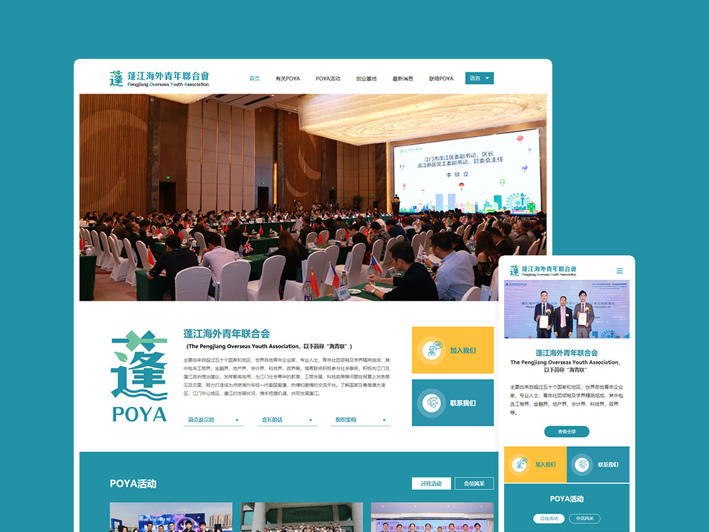 网站优化与推广指南：建立强有力的在线影响力并推动业务增长 (网站优化与推广的区别)