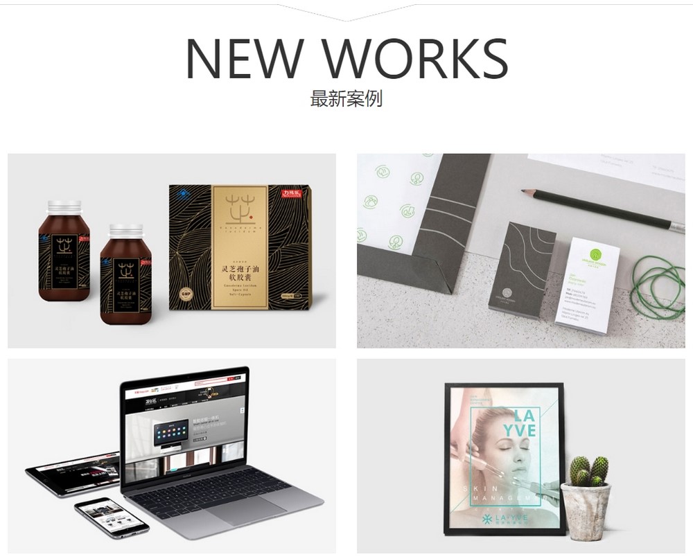 专业网站设计公司：提升您的在线形象 (专业网站设计企业)