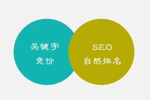 掌握百度优化排名软件，优化网站内容，攀升搜索引擎排名 (百度有专做优化的没)