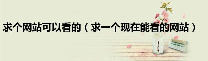 使用最佳 HTMl 网页制作软件构建引人入胜的网站 (使用最佳函数)