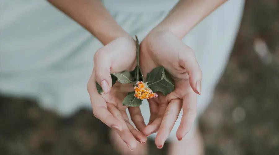 提高转化率的单页优化终极指南