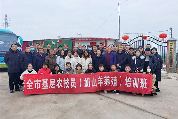 提升陕西网站流量指南：全面探索 SEO 优化策略 (陕西省网络)