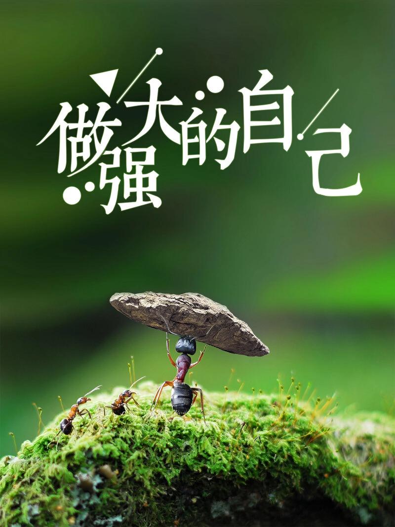 让每个人都能成为网络大师