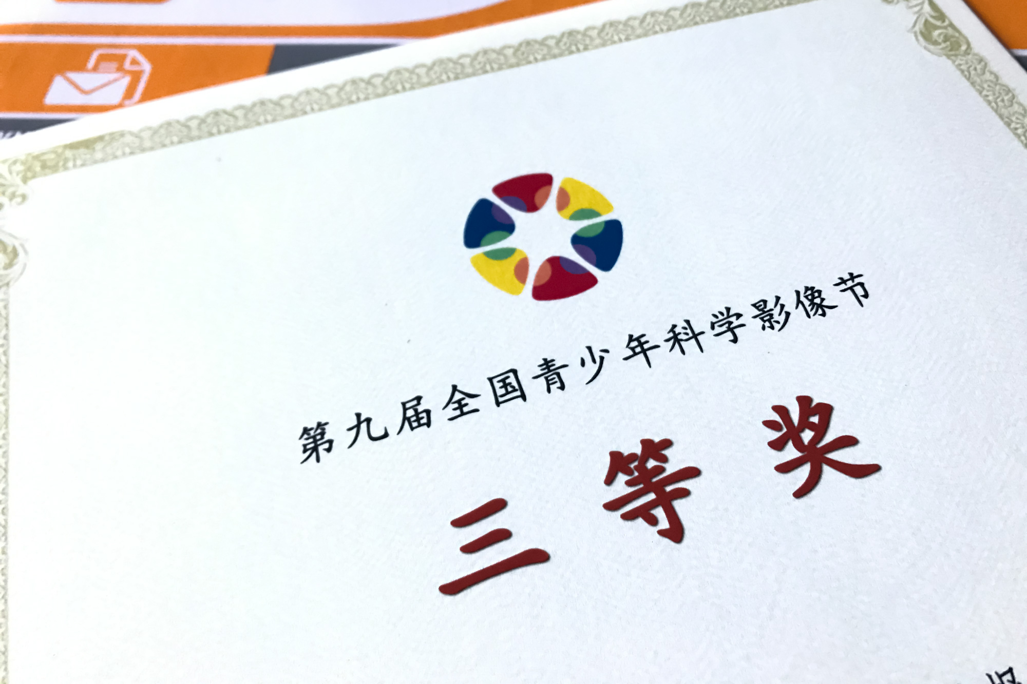 一步步打造高效公司网站：从头到尾的指南