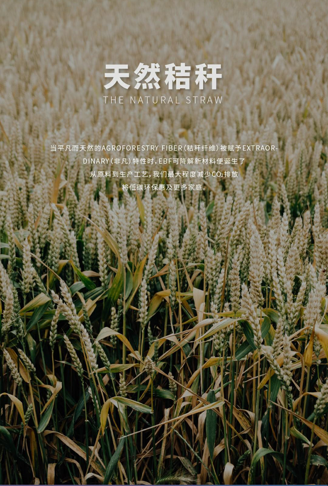 石家庄网站优化攻略：全面指南，助您提升流量和转换率 (石家庄网站优化推荐)