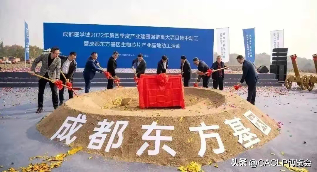 揭秘成都关键词优化致胜秘诀，打造高转化率网站 (成都的关键词)