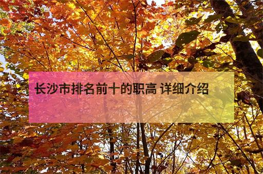 长沙顶尖网站设计：专为您的业务量身定制的创新的数字解决方案 (长沙顶尖数码科技有限公司)