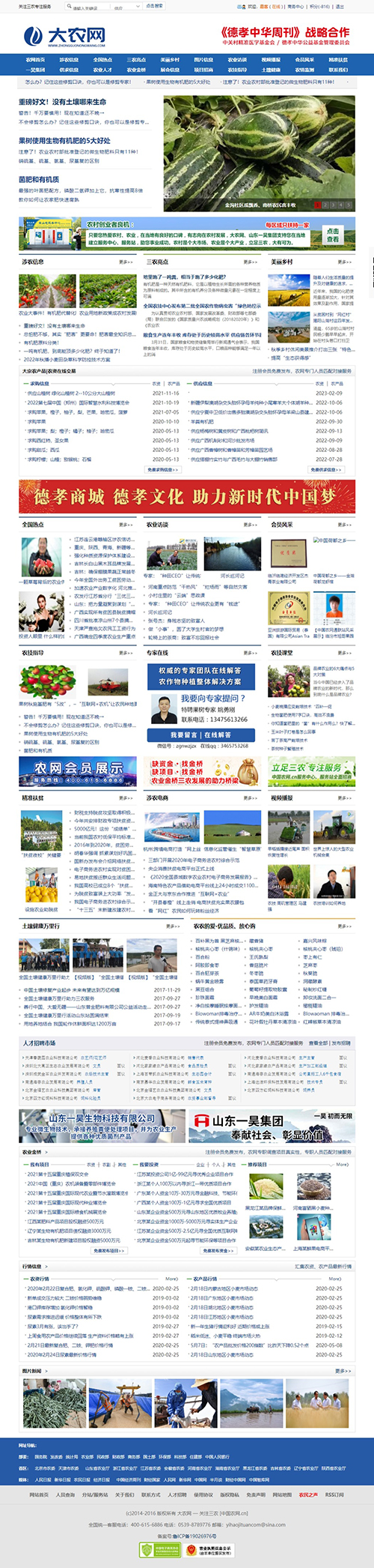 专业公司为您打造网络形象