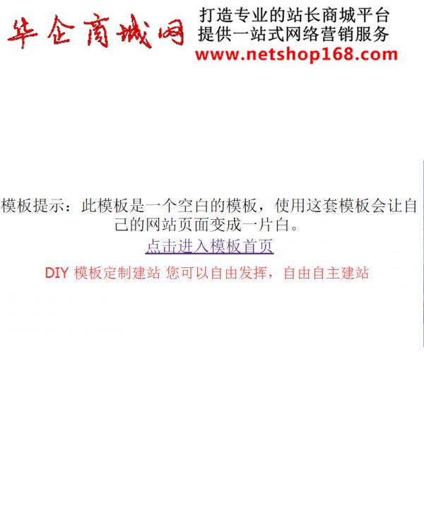 DIY网站建设：深入探讨从概念到发布的完整流程 (自建网站软件)