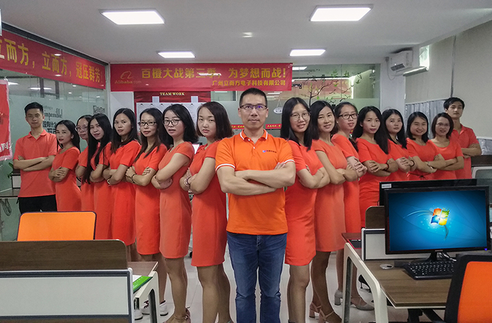 网站推广团队的力量：如何通过战略规划扩大在线影响力 (网站推广团队有哪些)