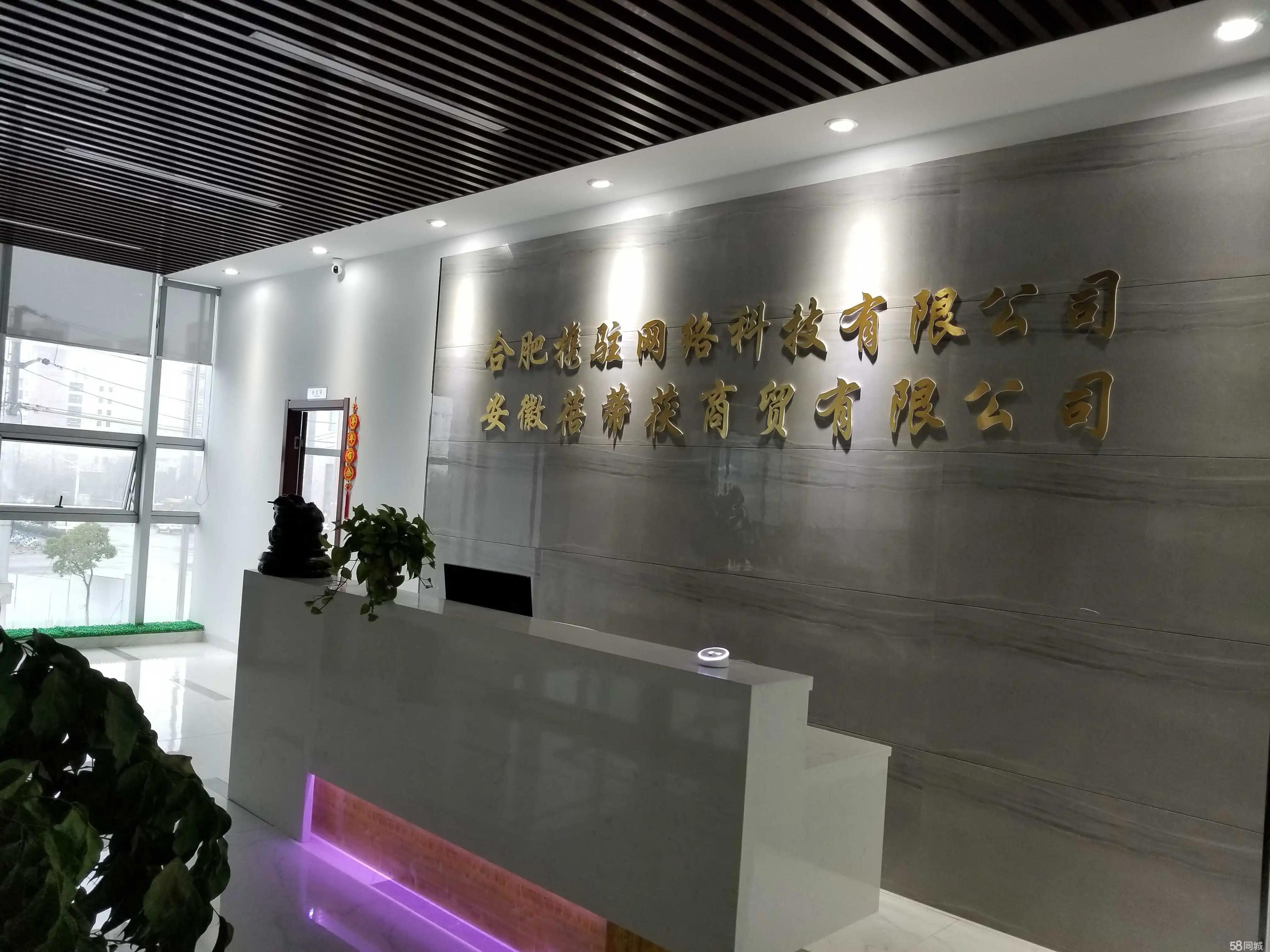 合肥顶尖网站开发公司，打造您的在线形象 (合肥知名网站)