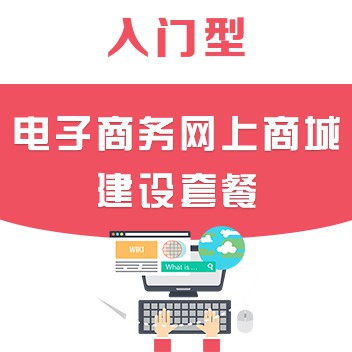 网站建设套餐：打造专业网站所需的一切 (网站建设公司)