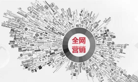 网站推广全面指南：打造在线影响力的终极秘籍 (网站及推广)