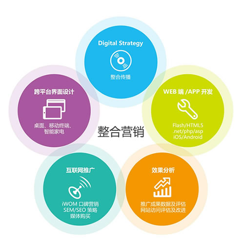 全网营销终极指南：覆盖整个网络的全面策略 (全网营销实战)