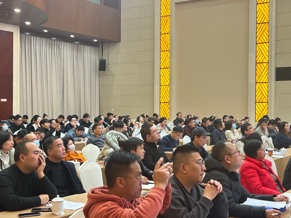 零基础打造专业网站：一步步搭建指南 (零基础做什么)