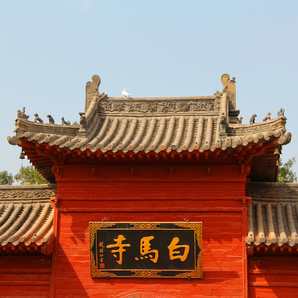 在洛阳寻找经济的网站建设解决方案？了解最划算的选择 (在洛阳寻找经销商电话)