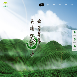 传统正味普洱茶厂家