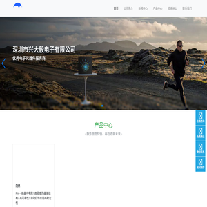 深圳市兴大毅电子有限公司