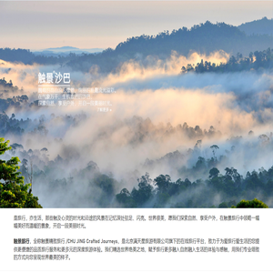 触景官网