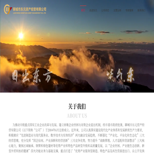 聊城市东元资产经营有限公司