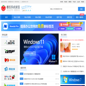 windows11