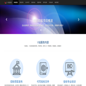 V站投标