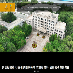 中色（宁夏）东方集团有限公司
