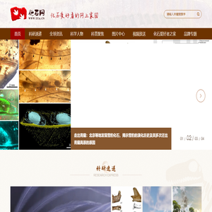 化石网