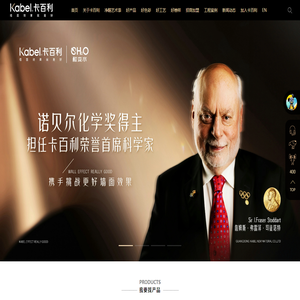 艺术漆加盟
