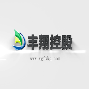孝感市丰翔控股有限公司