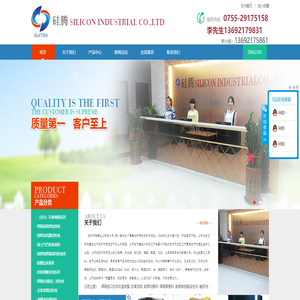 深圳市硅腾实业有限公司