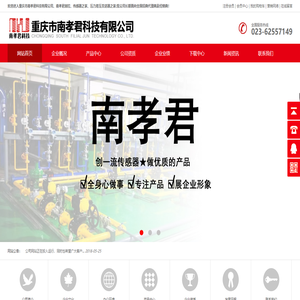 重庆市南孝君科技有限公司