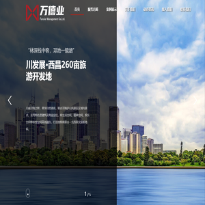 成都万僖业投资管理有限公司