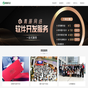 青藤网络