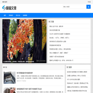 蝙蝠文章网