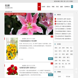 花儿网