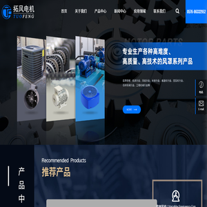 温岭市拓风电机有限公司