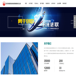 【官网】武汉市新星电线电缆有限责任公司