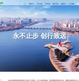 山东自硬