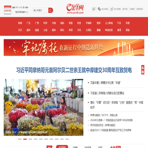 金羊网