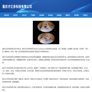 重庆才亿多科技有限公司