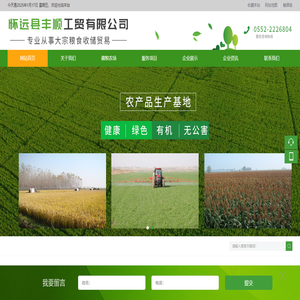 怀远县丰顺工贸有限公司