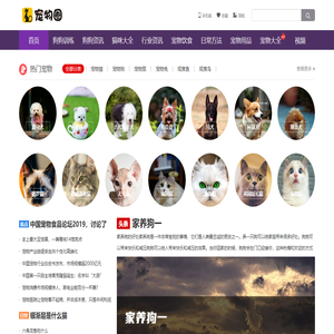 宠物吧