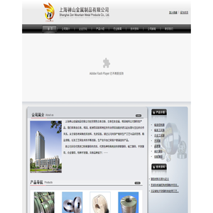 不锈钢/高速钢/碳素结构钢/阀片钢带